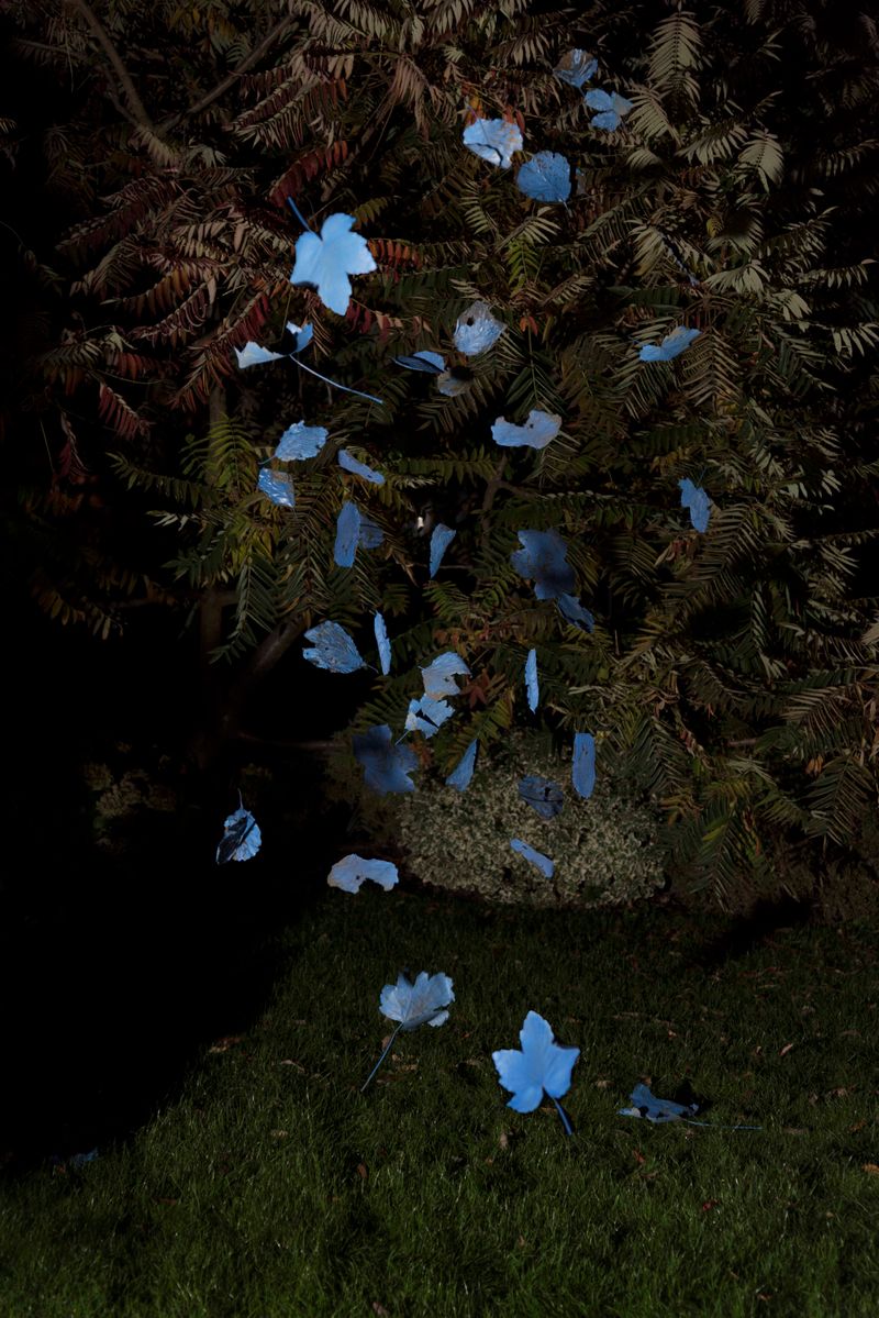 © Michelle Piergoelam - Image from the I heard water holds a secret photography project