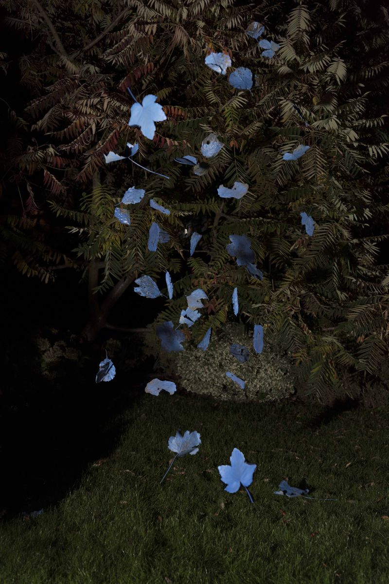 © Michelle Piergoelam - Image from the I heard water holds a secret photography project