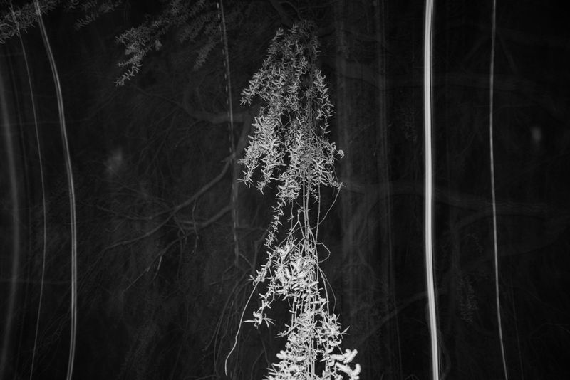 © Michelle Piergoelam - Image from the I heard water holds a secret photography project