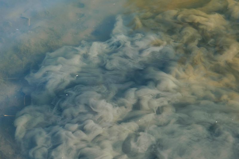 © Michelle Piergoelam - Image from the I heard water holds a secret photography project