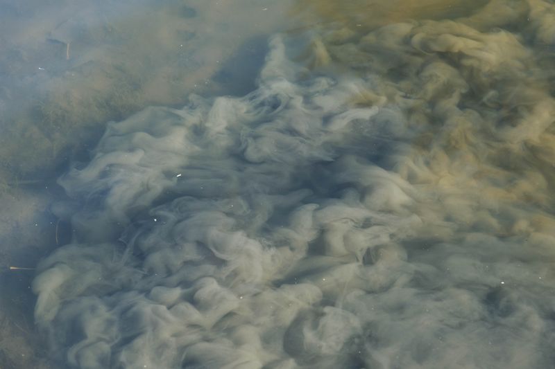 © Michelle Piergoelam - Image from the I heard water holds a secret photography project