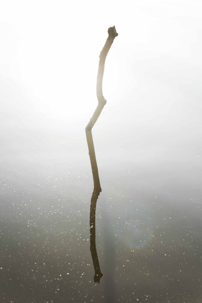 © Michelle Piergoelam - Image from the I heard water holds a secret photography project