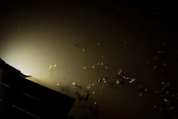 © Michelle Piergoelam - Image from the I heard water holds a secret photography project