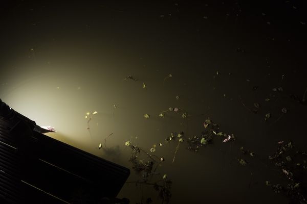 © Michelle Piergoelam - Image from the I heard water holds a secret photography project
