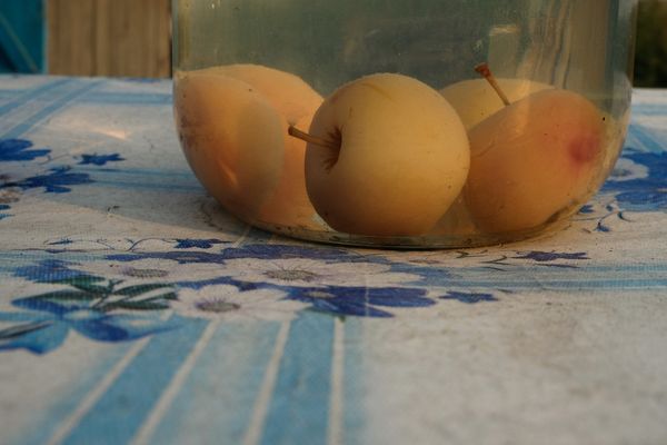 © Olesia Kim - Image from the Specific Summer photography project