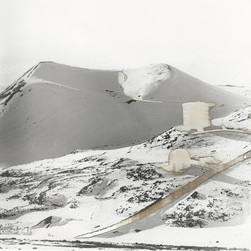 © Leah Schretenthaler - Image from the The Invasive Species of the Built Environment photography project