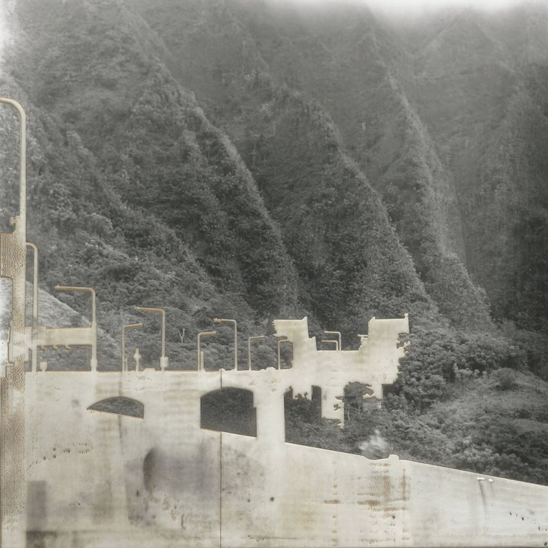 © Leah Schretenthaler - Image from the The Invasive Species of the Built Environment photography project
