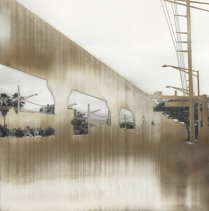 © Leah Schretenthaler - Image from the The Invasive Species of the Built Environment photography project