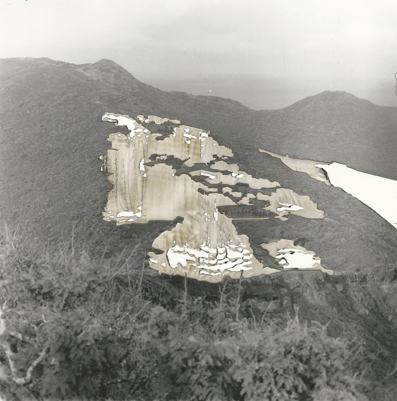 © Leah Schretenthaler - Image from the The Invasive Species of the Built Environment photography project
