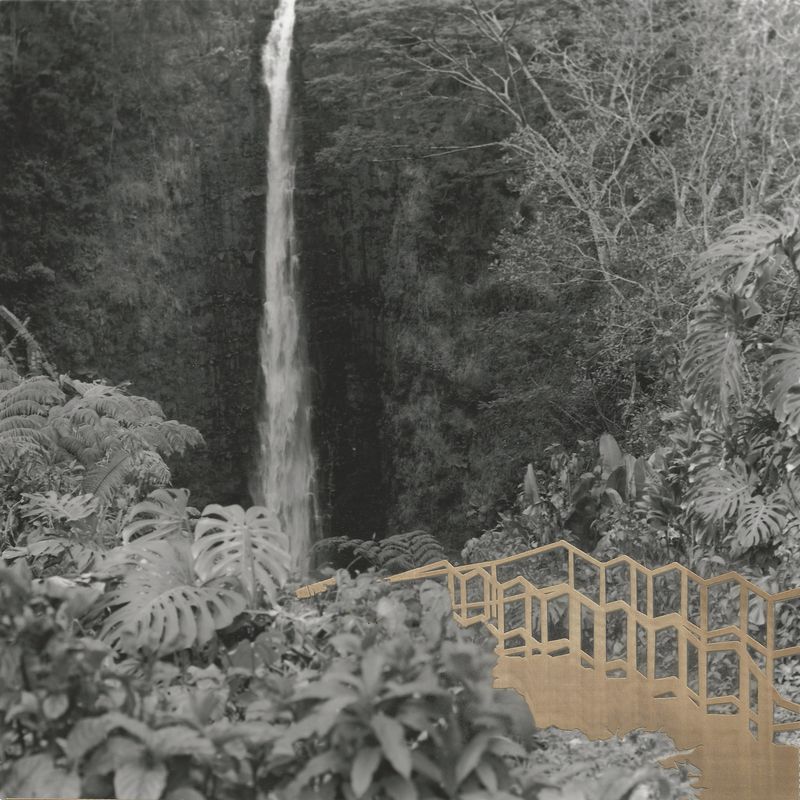 © Leah Schretenthaler - Image from the The Invasive Species of the Built Environment photography project