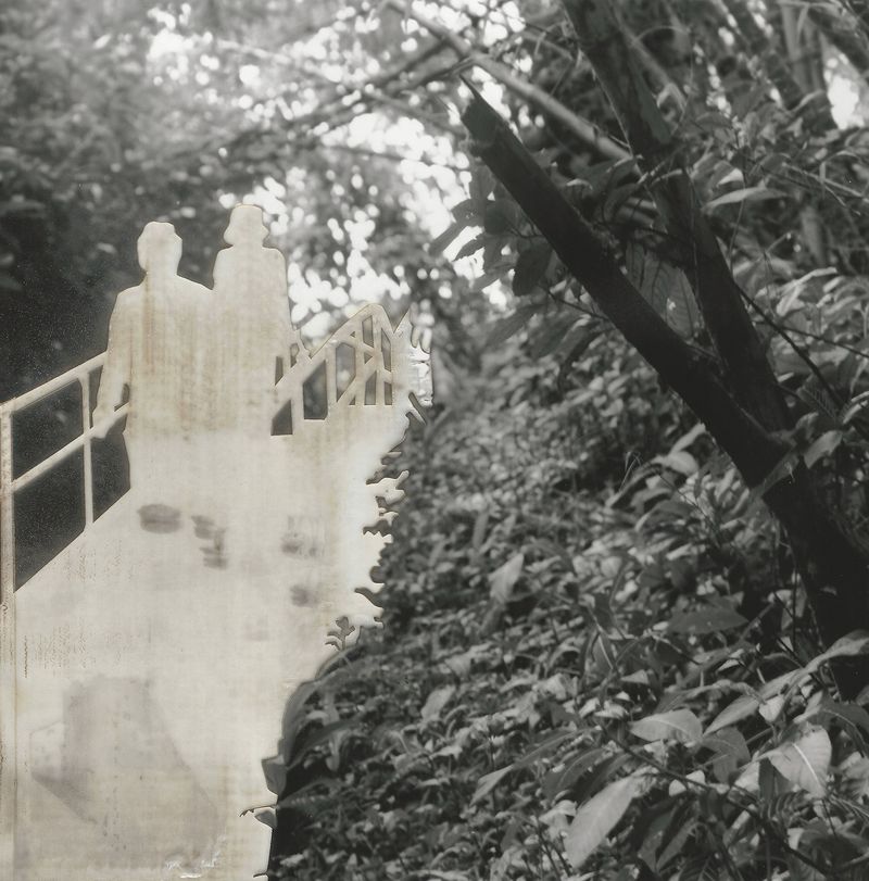 © Leah Schretenthaler - Image from the The Invasive Species of the Built Environment photography project