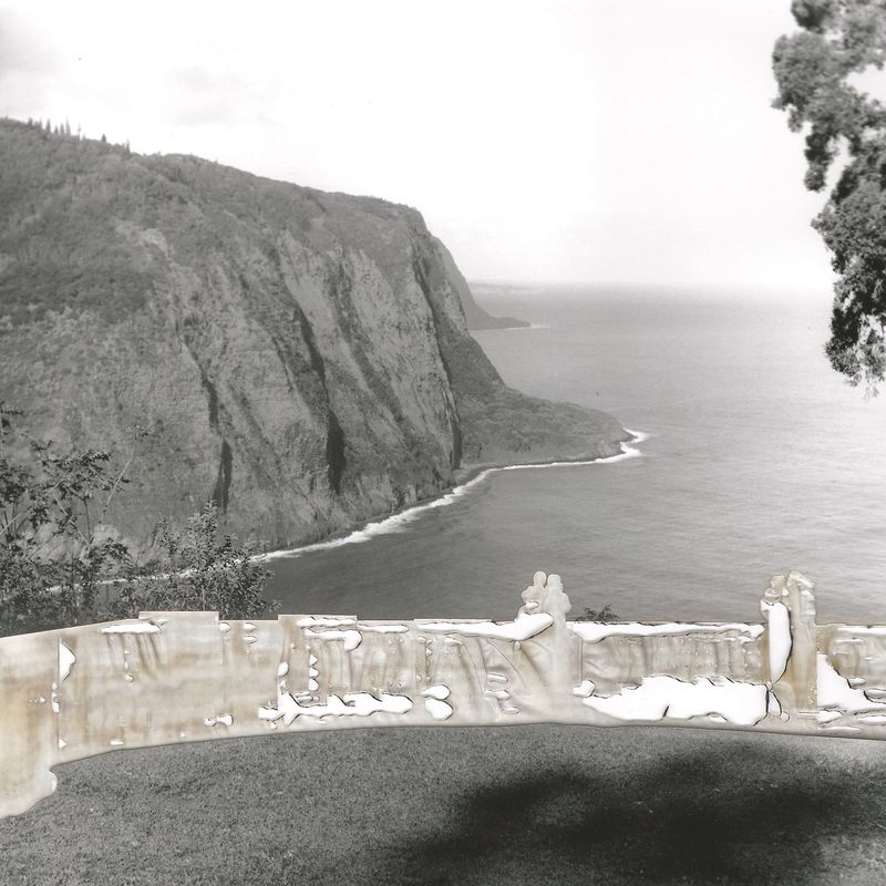 © Leah Schretenthaler - Image from the The Invasive Species of the Built Environment photography project