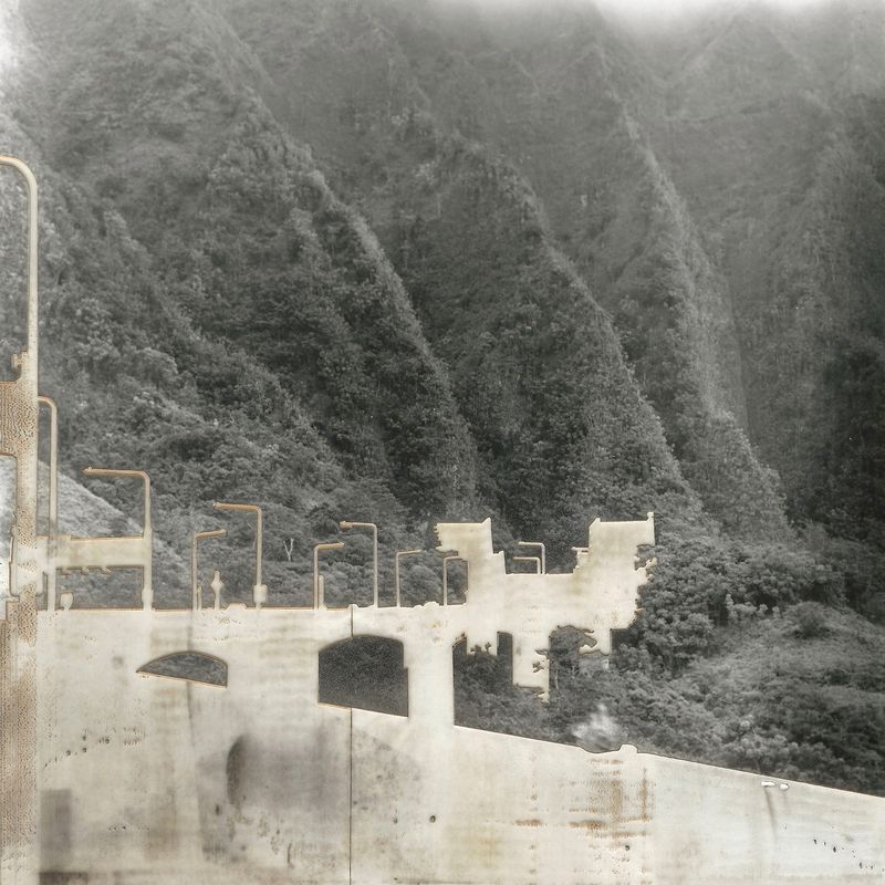 © Leah Schretenthaler - Image from the The Invasive Species of the Built Environment photography project