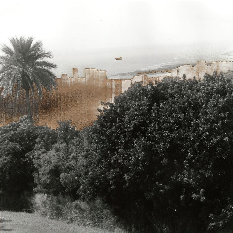 © Leah Schretenthaler - Image from the The Invasive Species of the Built Environment photography project