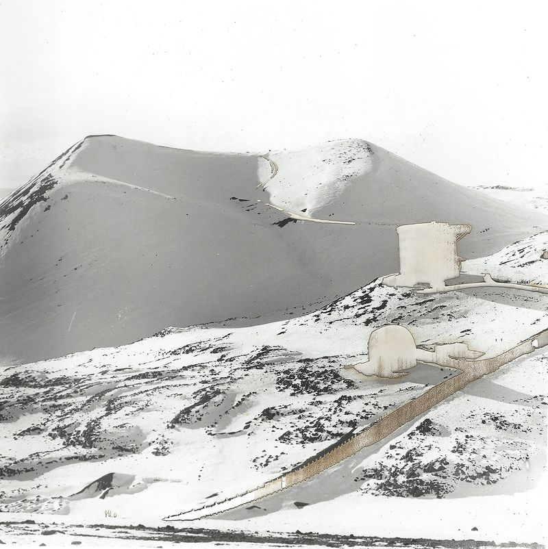 © Leah Schretenthaler - Image from the The Invasive Species of the Built Environment photography project