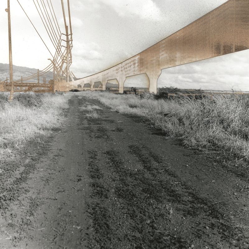 © Leah Schretenthaler - Image from the The Invasive Species of the Built Environment photography project