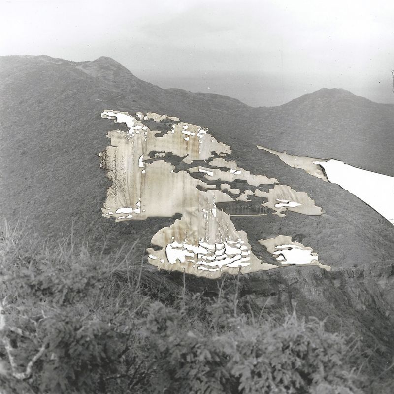 © Leah Schretenthaler - Image from the The Invasive Species of the Built Environment photography project