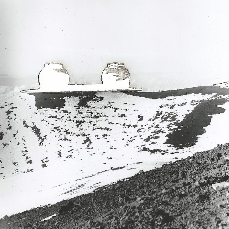 © Leah Schretenthaler - Image from the The Invasive Species of the Built Environment photography project