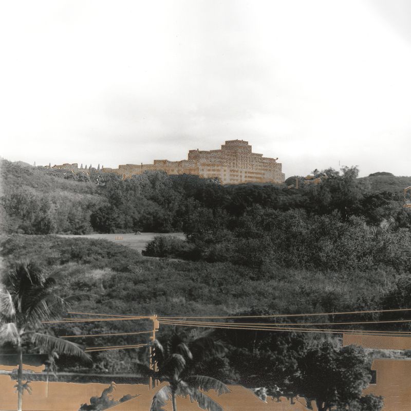 © Leah Schretenthaler - Image from the The Invasive Species of the Built Environment photography project