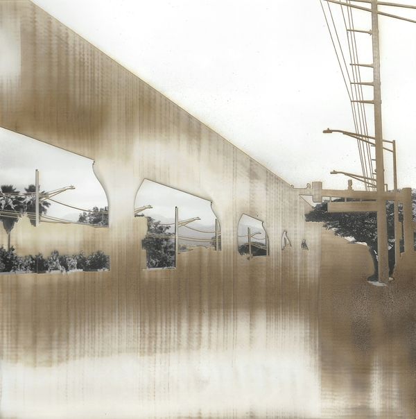 © Leah Schretenthaler - Image from the The Invasive Species of the Built Environment photography project