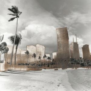 The Invasive Species of the Built Environment