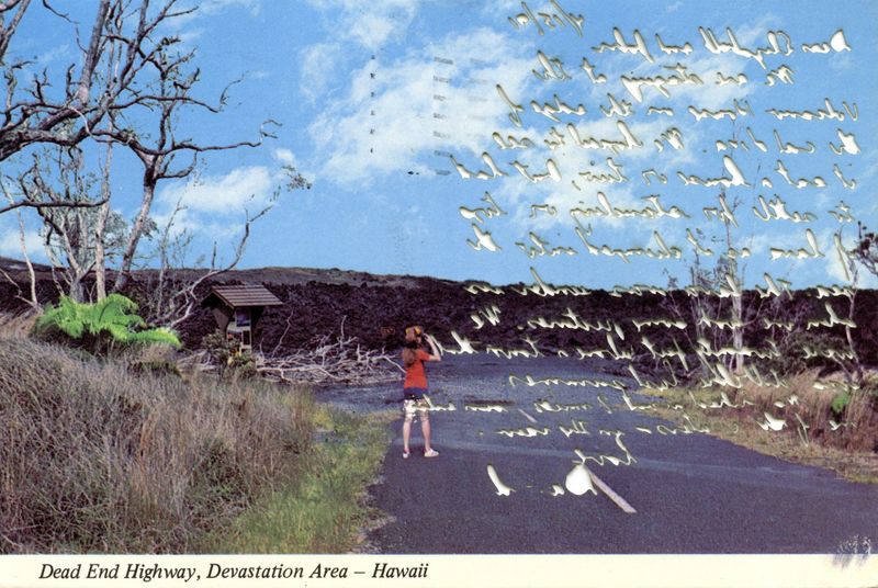 © Leah Schretenthaler - Image from the Aloha From Hawaii photography project
