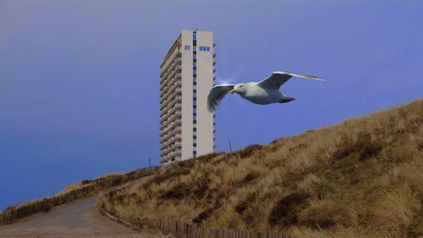 © Sofie Flinth - Image from the A Million Dollar View photography project