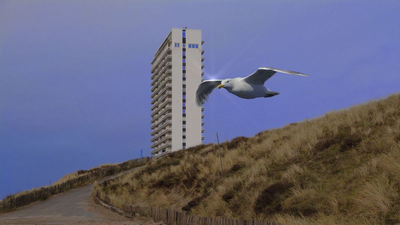 © Sofie Flinth - Image from the A Million Dollar View photography project