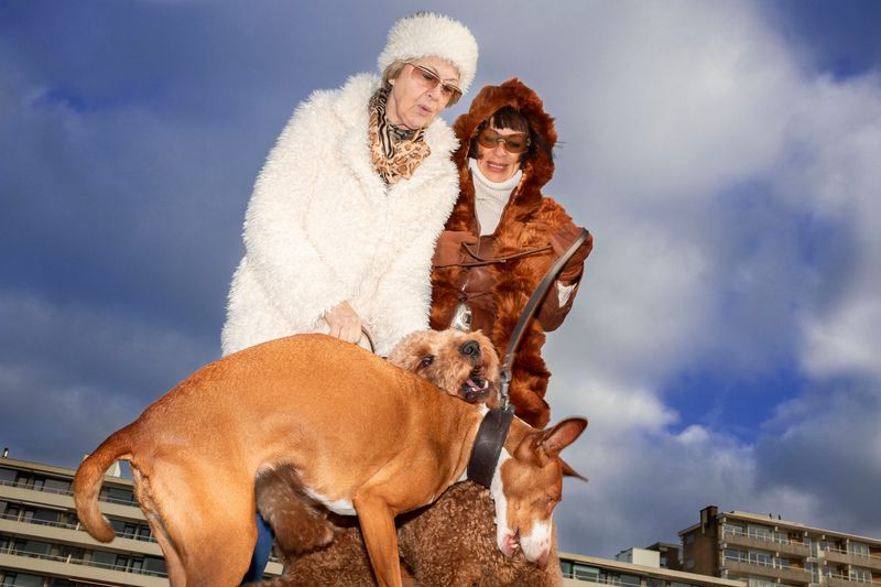 © Sofie Flinth - Image from the A Million Dollar View photography project