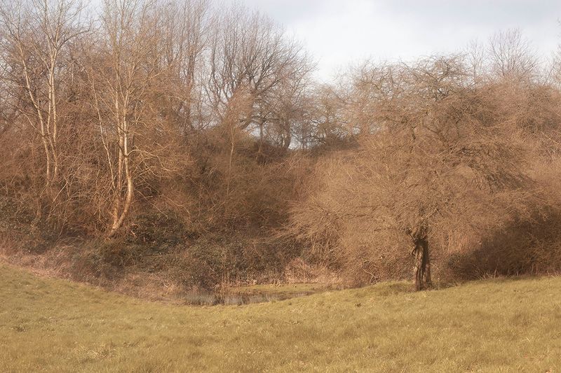 © Sofie Flinth - The Garden