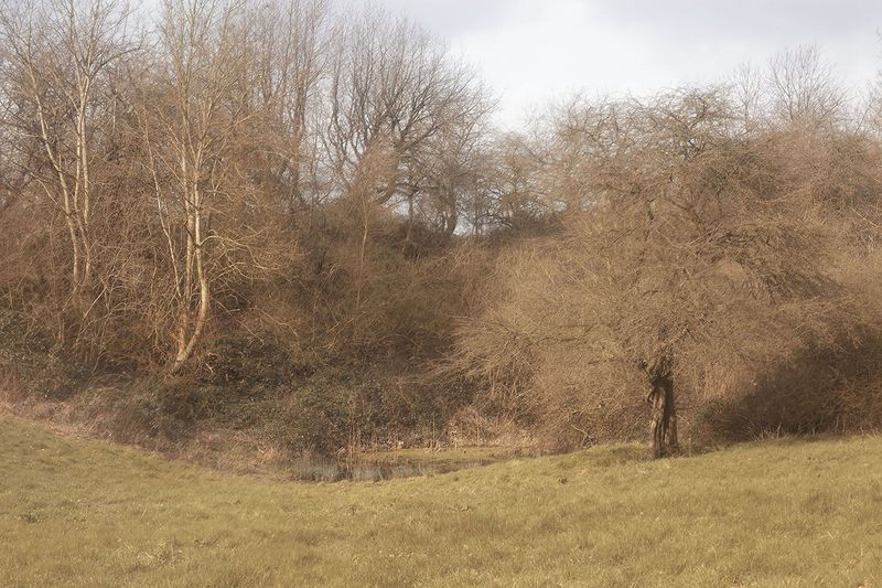 © Sofie Flinth - The Garden