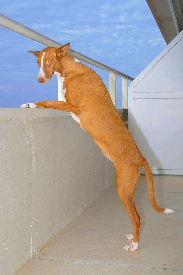 © Sofie Flinth - Image from the A Million Dollar View photography project