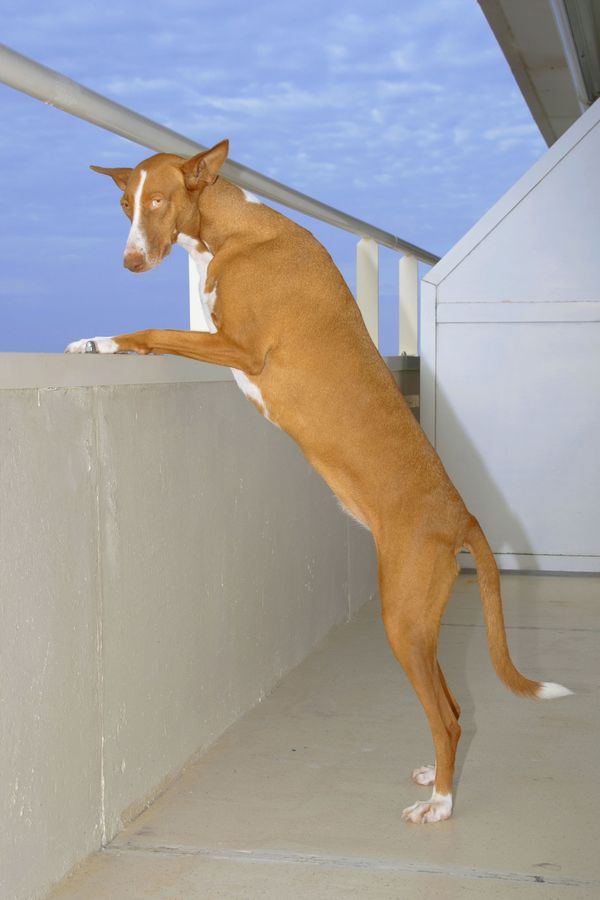 © Sofie Flinth - Image from the A Million Dollar View photography project