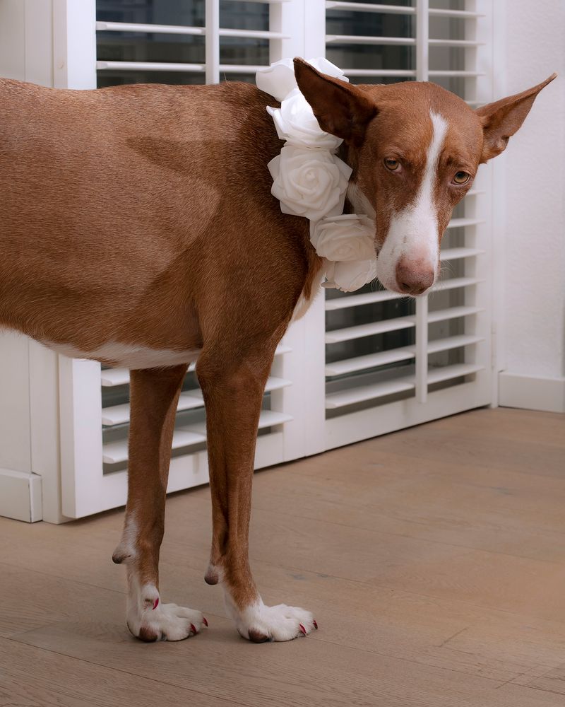 © Sofie Flinth - Image from the A Million Dollar View photography project