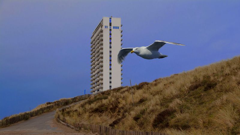 © Sofie Flinth - Image from the A Million Dollar View photography project