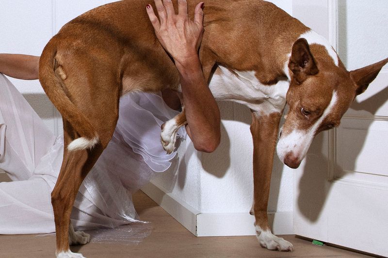 © Sofie Flinth - Image from the A Million Dollar View photography project