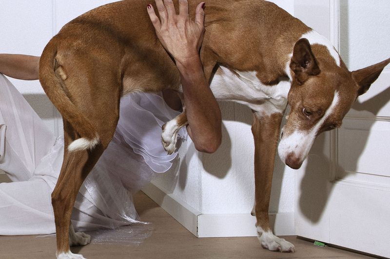 © Sofie Flinth - Image from the A Million Dollar View photography project