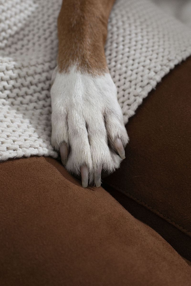 © Sofie Flinth - Image from the A Million Dollar View photography project