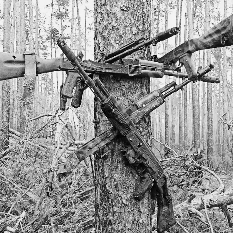© Arseniy Neskhodimov - Kalashnikov assault rifles