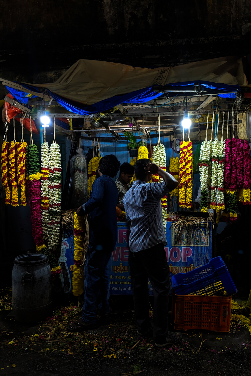 © Aparna Aji - Did the marigolds whisper my name?