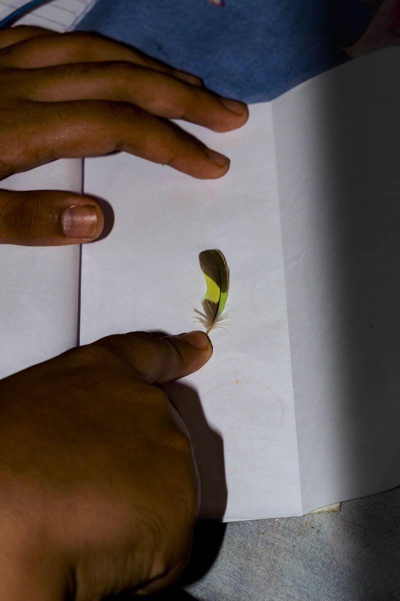 © Aparna Aji - A hope and a half