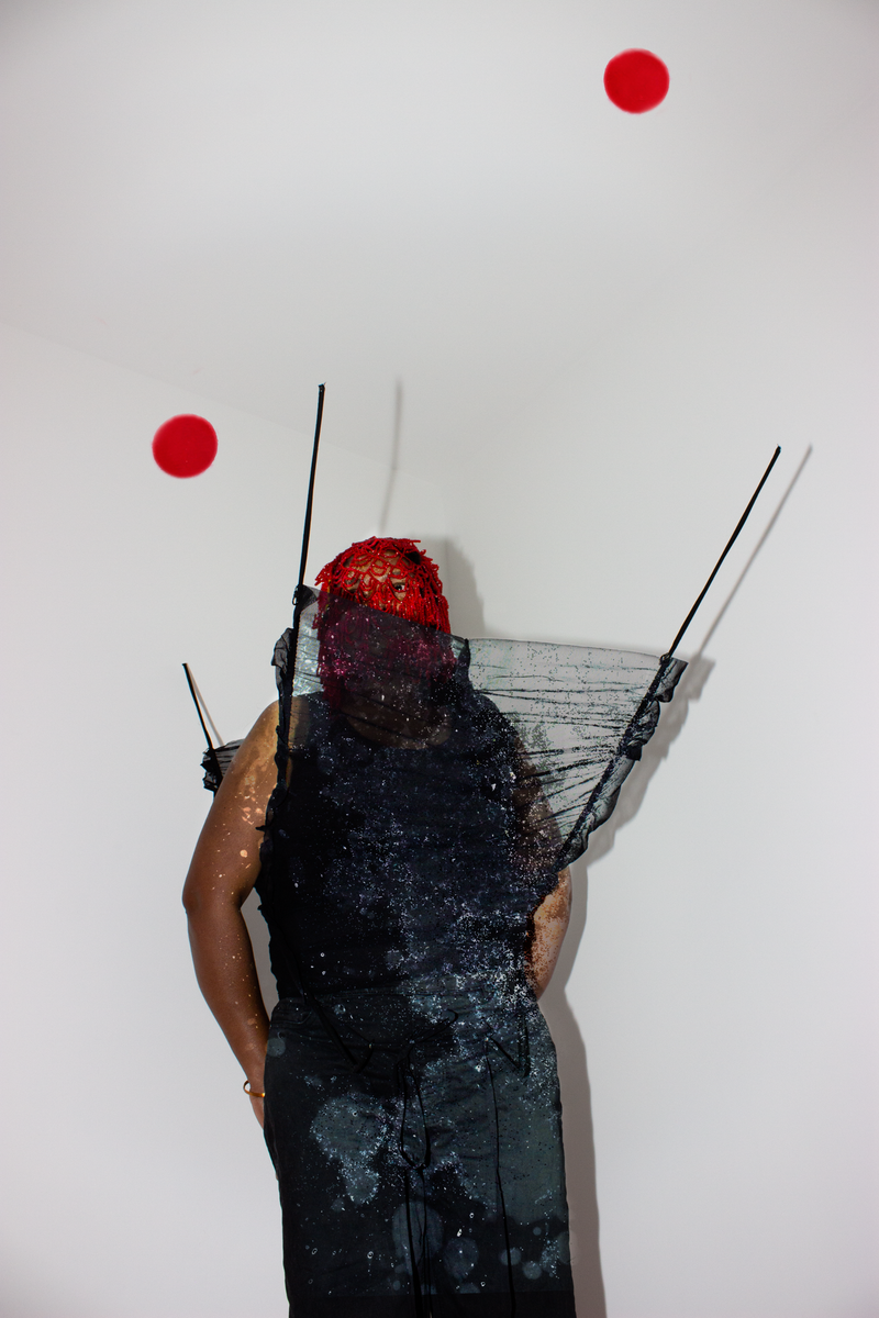 © Aparna Aji - Birth stars