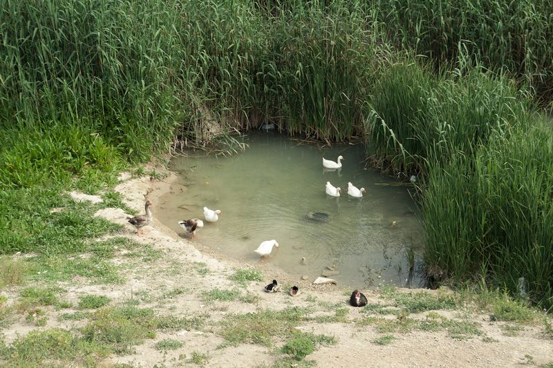 © Julián Garnés García - Image from the Europe´s Vegetable Garden photography project