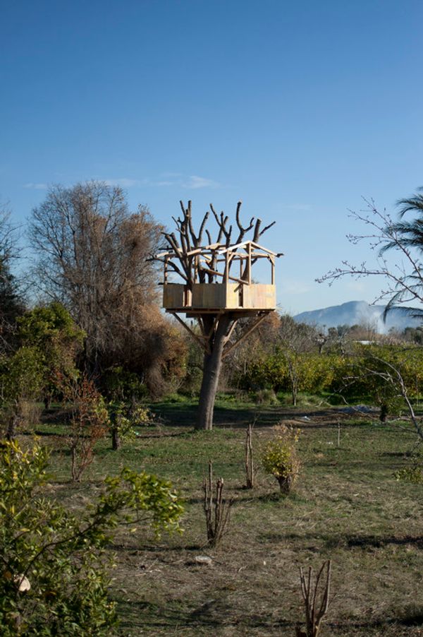 © Julián Garnés García - Image from the Europe´s Vegetable Garden photography project