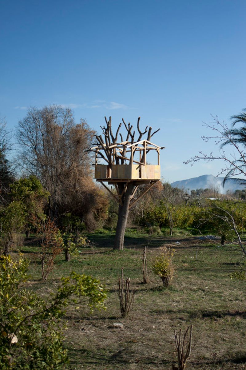 © Julián Garnés García - Image from the Europe´s Vegetable Garden photography project