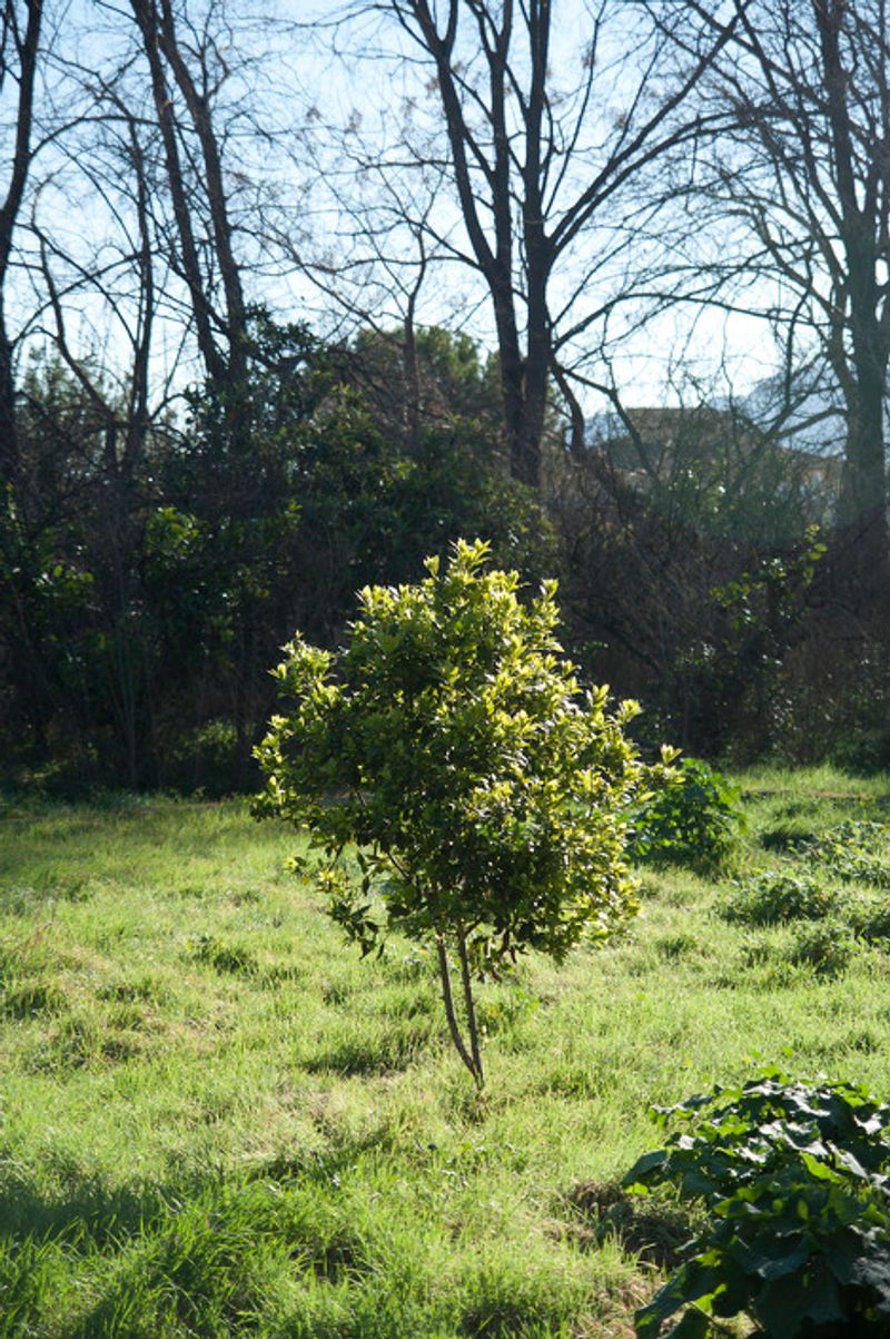 © Julián Garnés García - Image from the Europe´s Vegetable Garden photography project