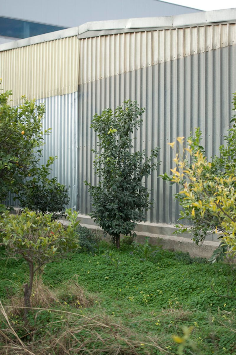 © Julián Garnés García - Image from the Europe´s Vegetable Garden photography project