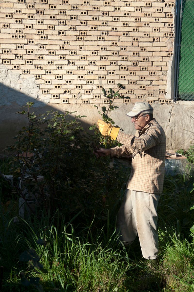© Julián Garnés García - Image from the Europe´s Vegetable Garden photography project