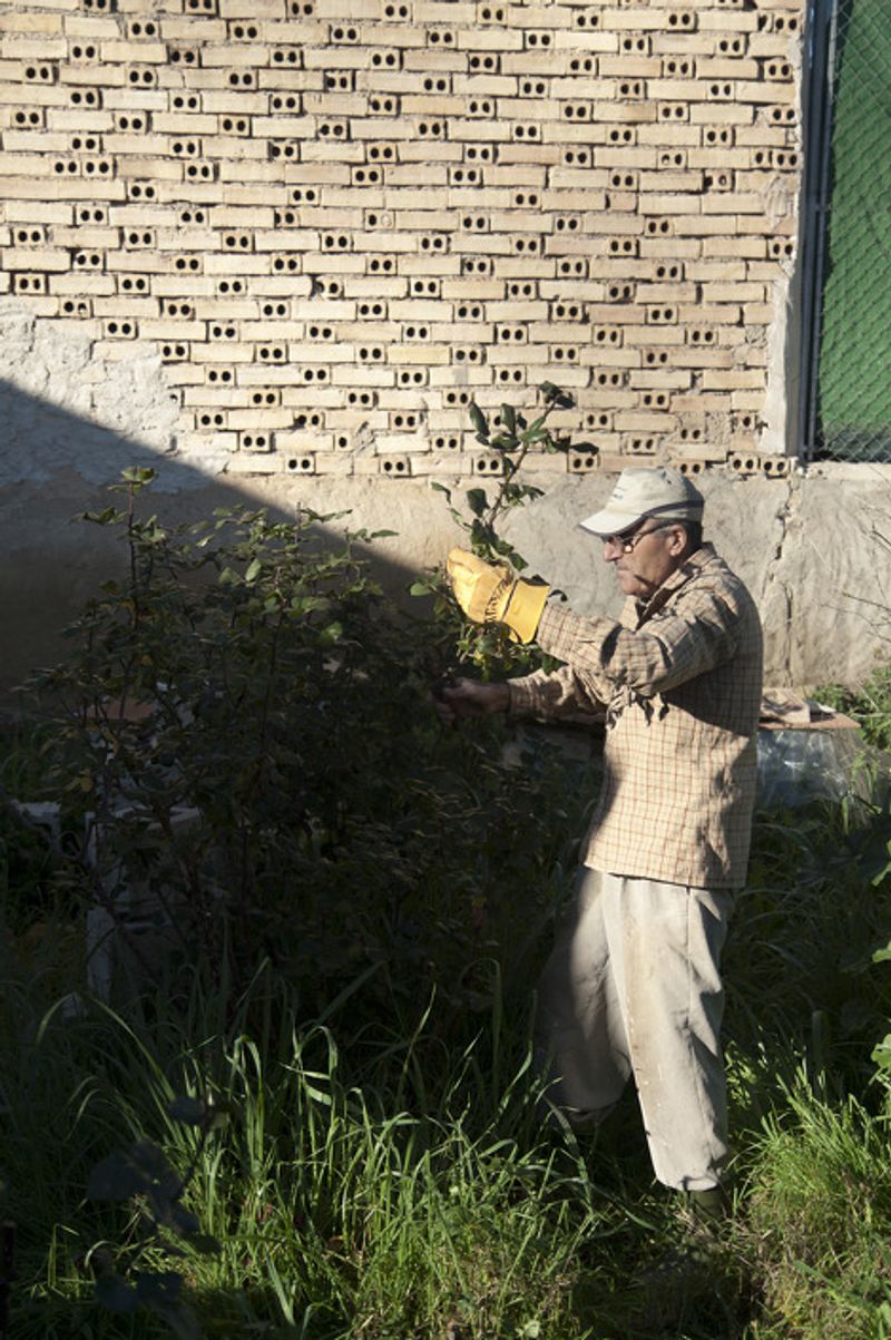 © Julián Garnés García - Image from the Europe´s Vegetable Garden photography project