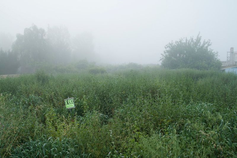 © Julián Garnés García - Image from the Europe´s Vegetable Garden photography project